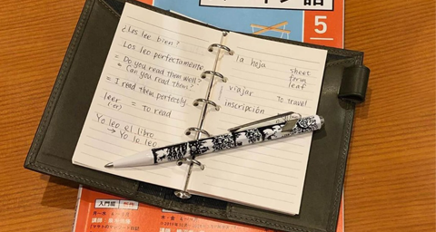 For the 9-5 Professional Sibling